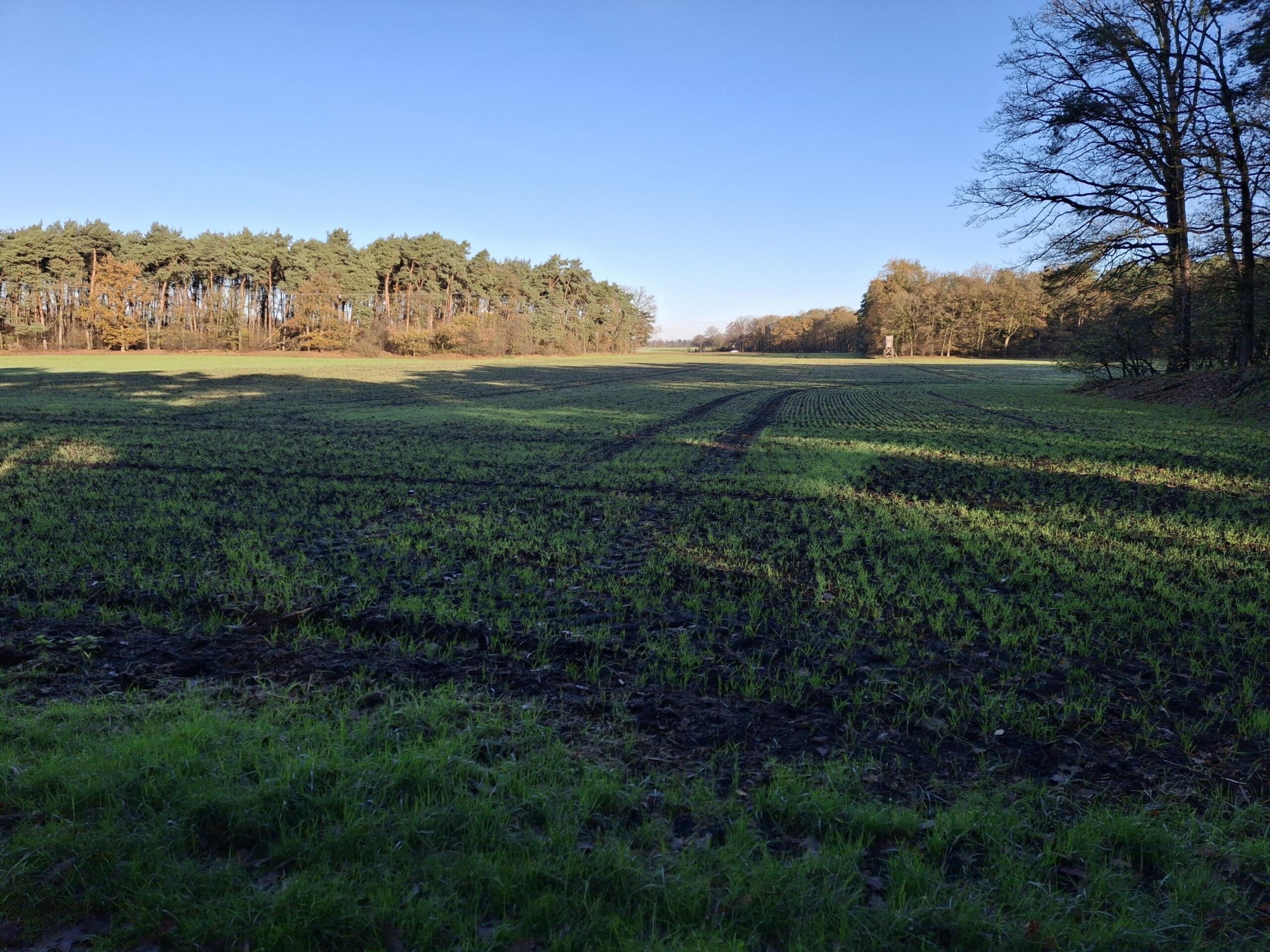 landwirtschaftliche Fläche in Füchtorf