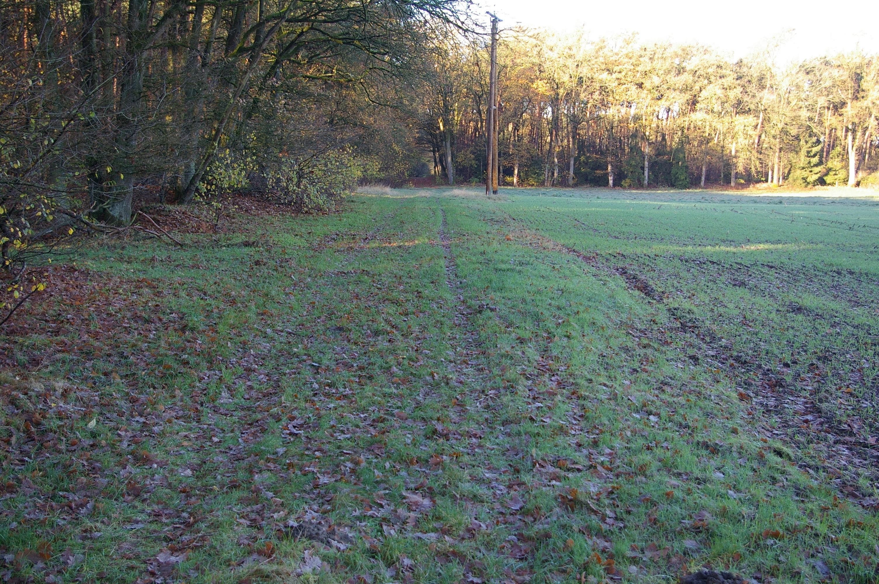 landwirtschaftliche Fläche in Füchtorf