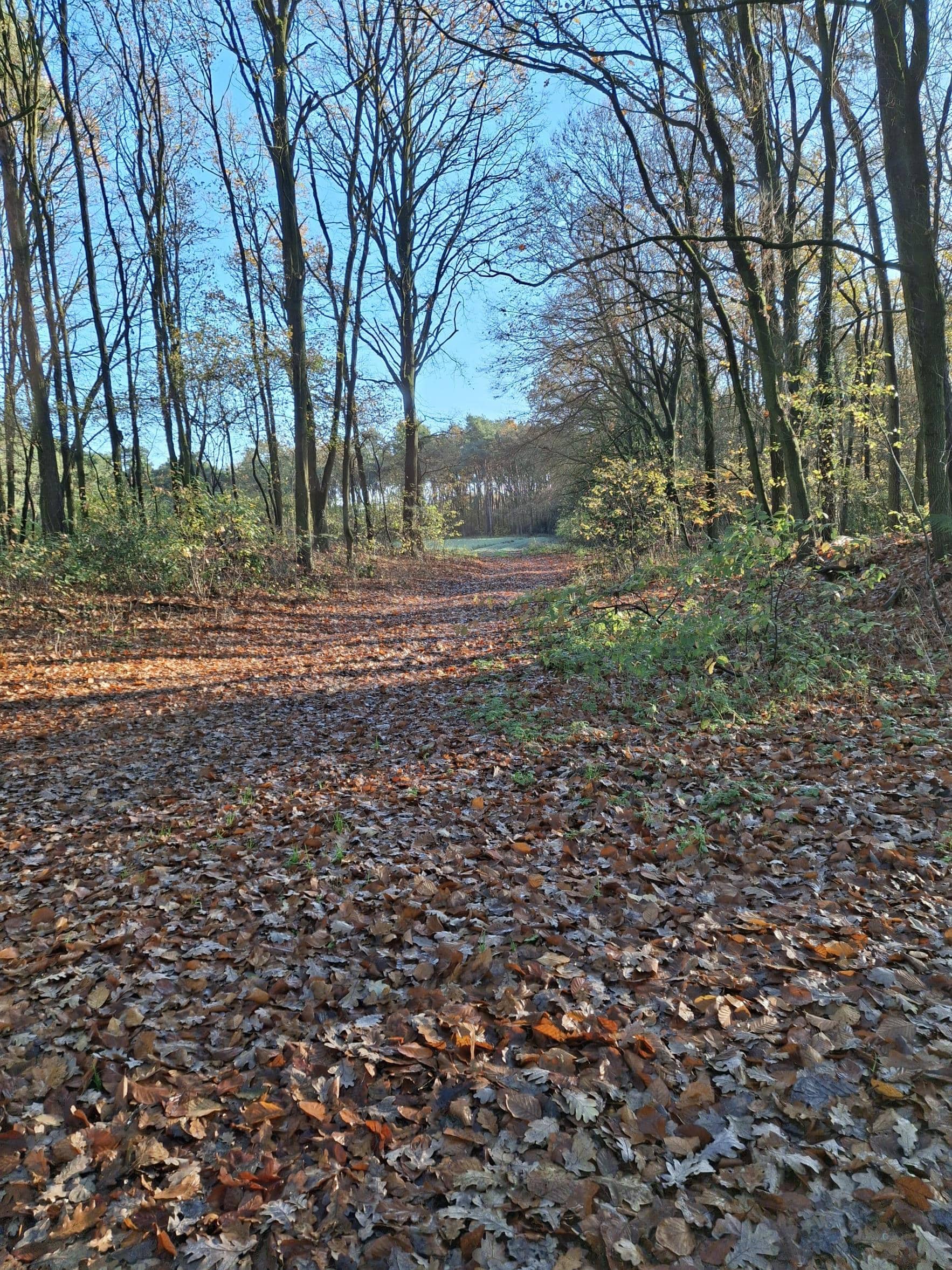 landwirtschaftliche Fläche in Füchtorf