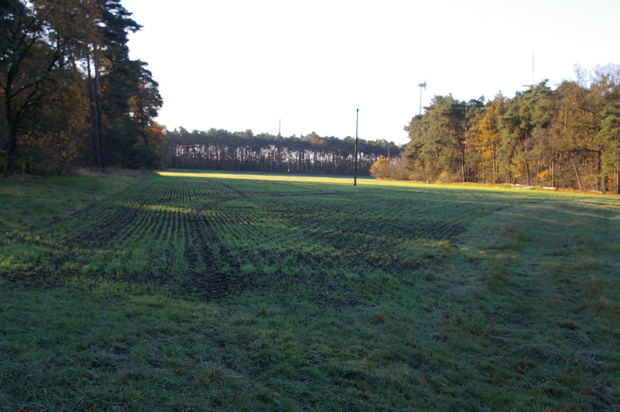 landwirtschaftliche Fläche in Füchtorf